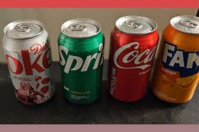 choice of can soda, sprite, coke, diet coke and fanta.